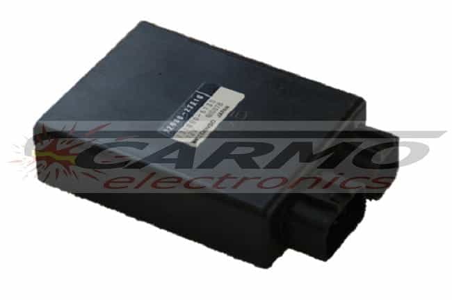 GSF600 Centralina unità CDI motore TCI (32900-31F00)